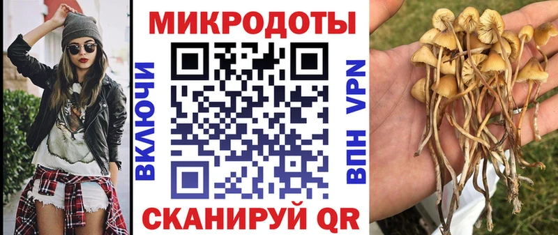 Галлюциногенные грибы прущие грибы  Тбилисская 
