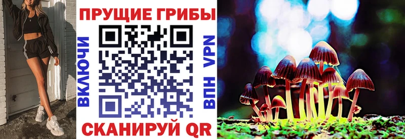 Галлюциногенные грибы мицелий Тбилисская